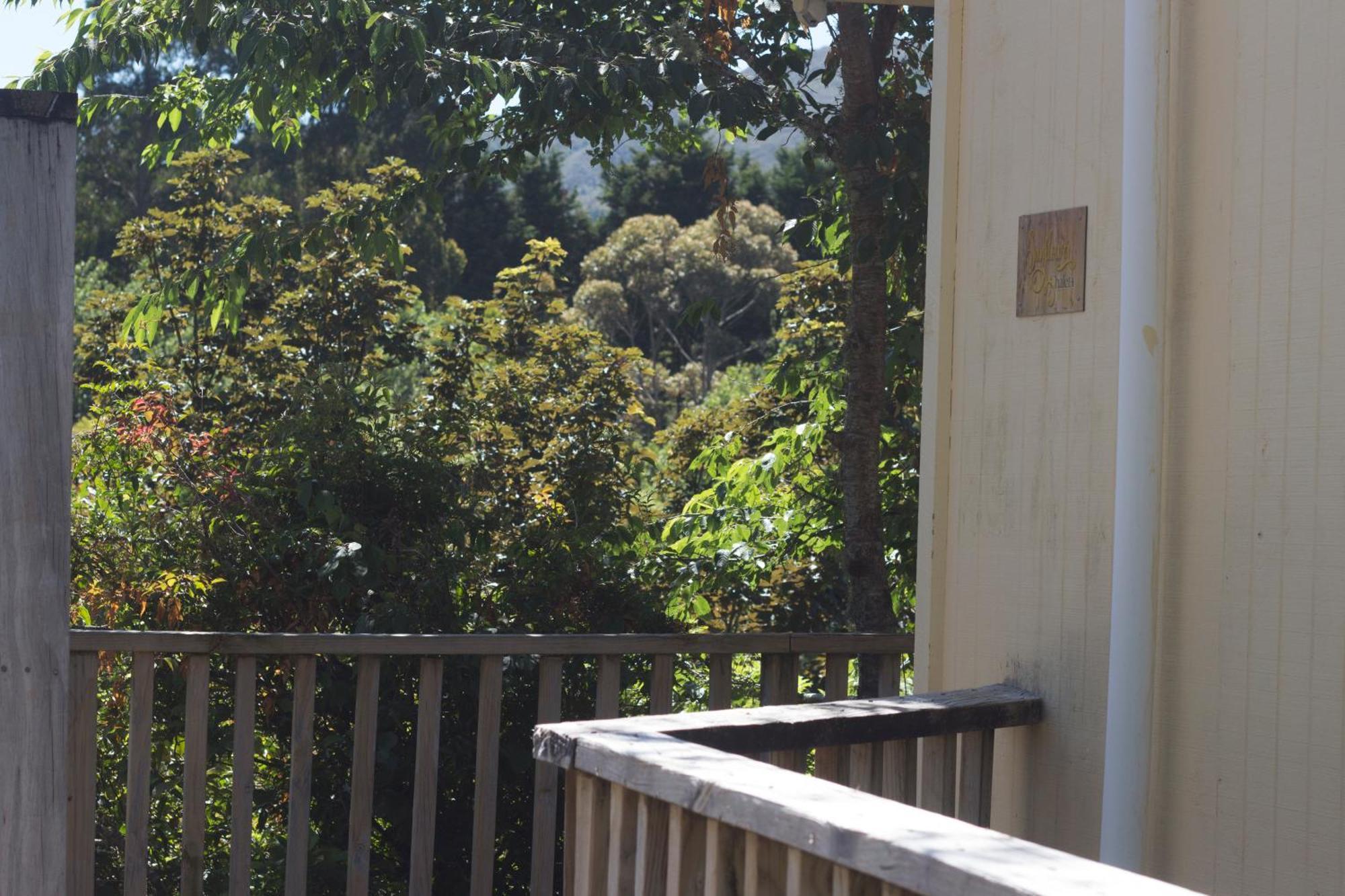 Aston Norwood Chalets Upper Hutt Εξωτερικό φωτογραφία
